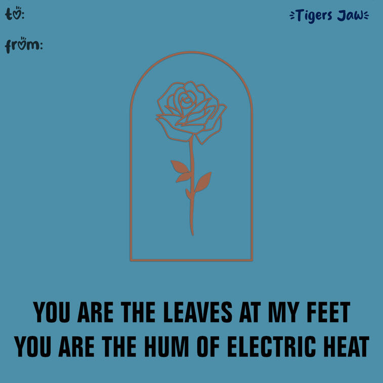 Tigers Jaw